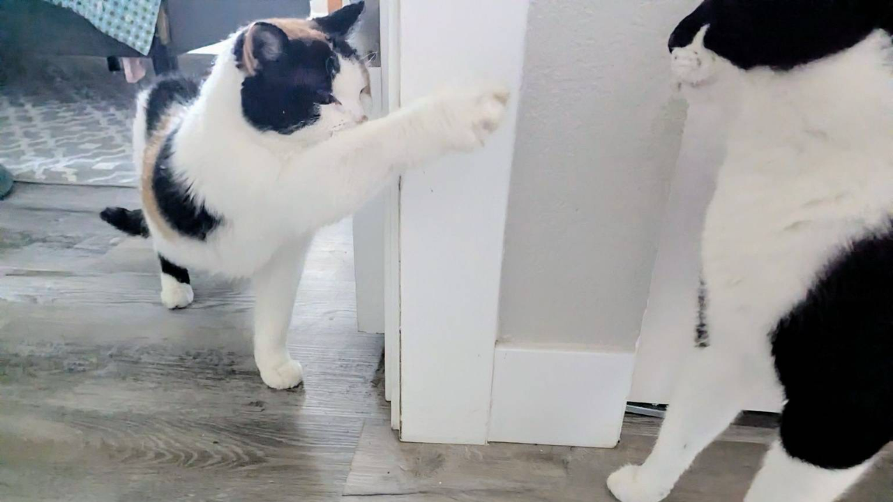 Patches delegating work to her subordinates.