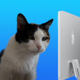 Patches watches her screen in shock, so many users signing up!