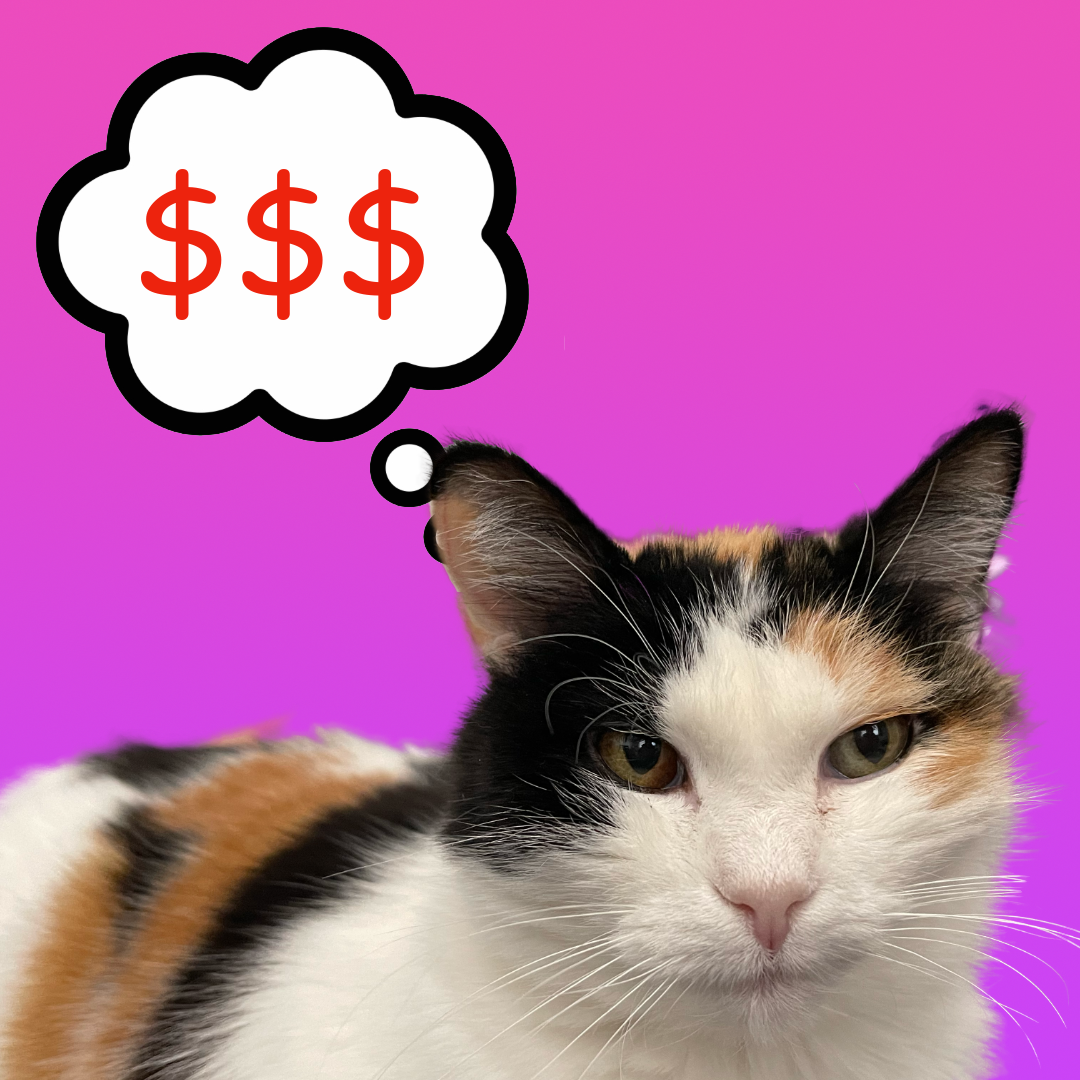 Patches thinking about all that money shes losing, something's gotta change...